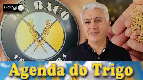 Argentina diminui a safra e o mercado ainda espera a decisão de navegação no Mar Negro