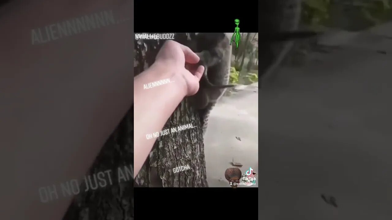uh