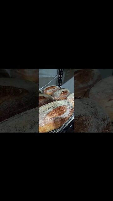 THE SOUND OF SOURDOUGH #sourdough #lievitomadre #bread