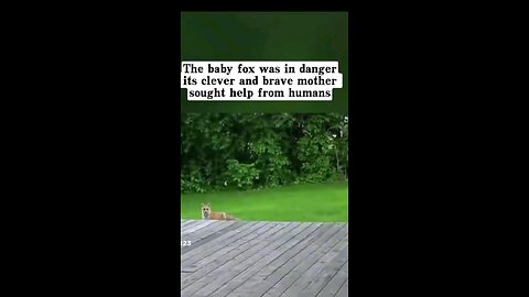 awww, good grandpa