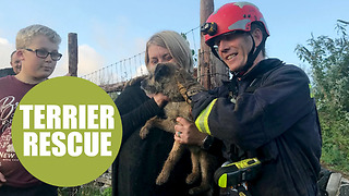 Drone operator assists in dog rescue, finds pooch down 200ft abandoned quarry