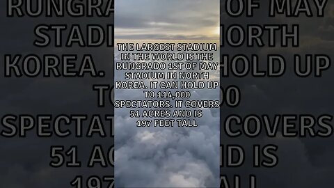 Incredible Random Facts That Will Expand Your Mind! [2023] #shorts #facts #viralshorts #fyp #life