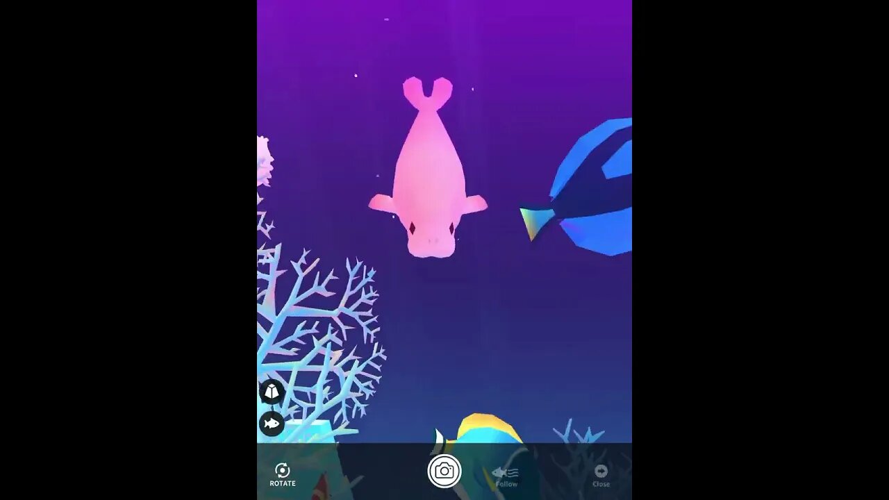 Adorable Manatee 💕 Abyssrium