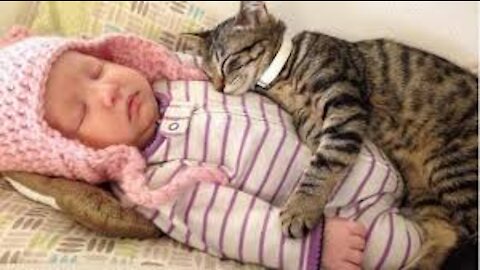 Cute Cats with babies for first time