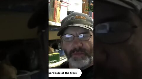 Do you pee from your deer stand?