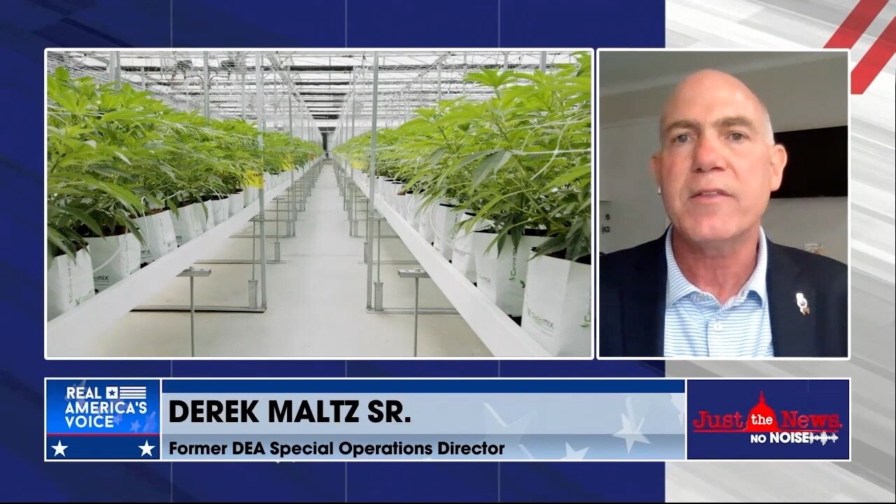 Derek Maltz Sr. says China’s marijuana push in US is attempt to destabilize the country