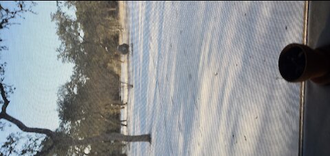 Day 2.5 of the South Texas Blizzard February 16, 2021