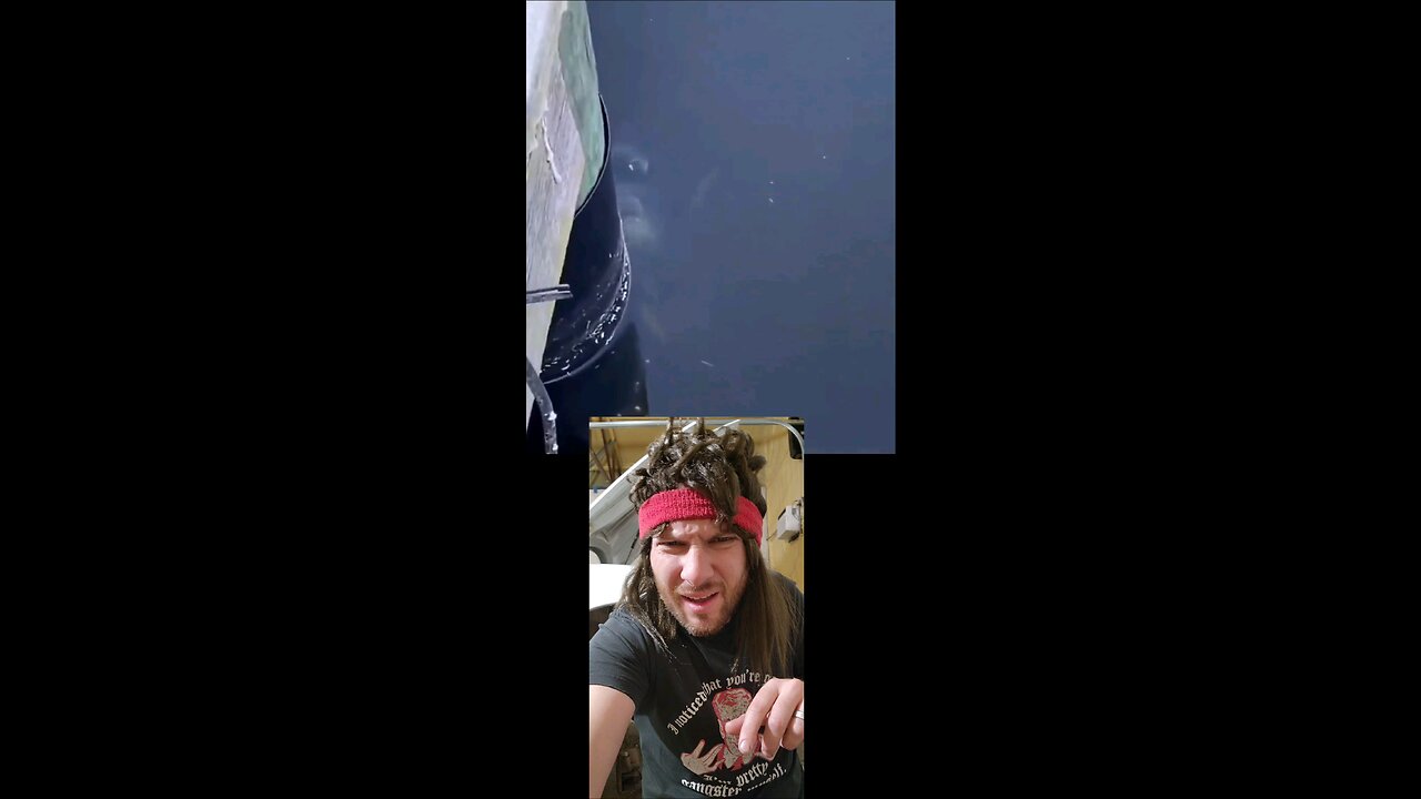 WHAT IS THAT?!