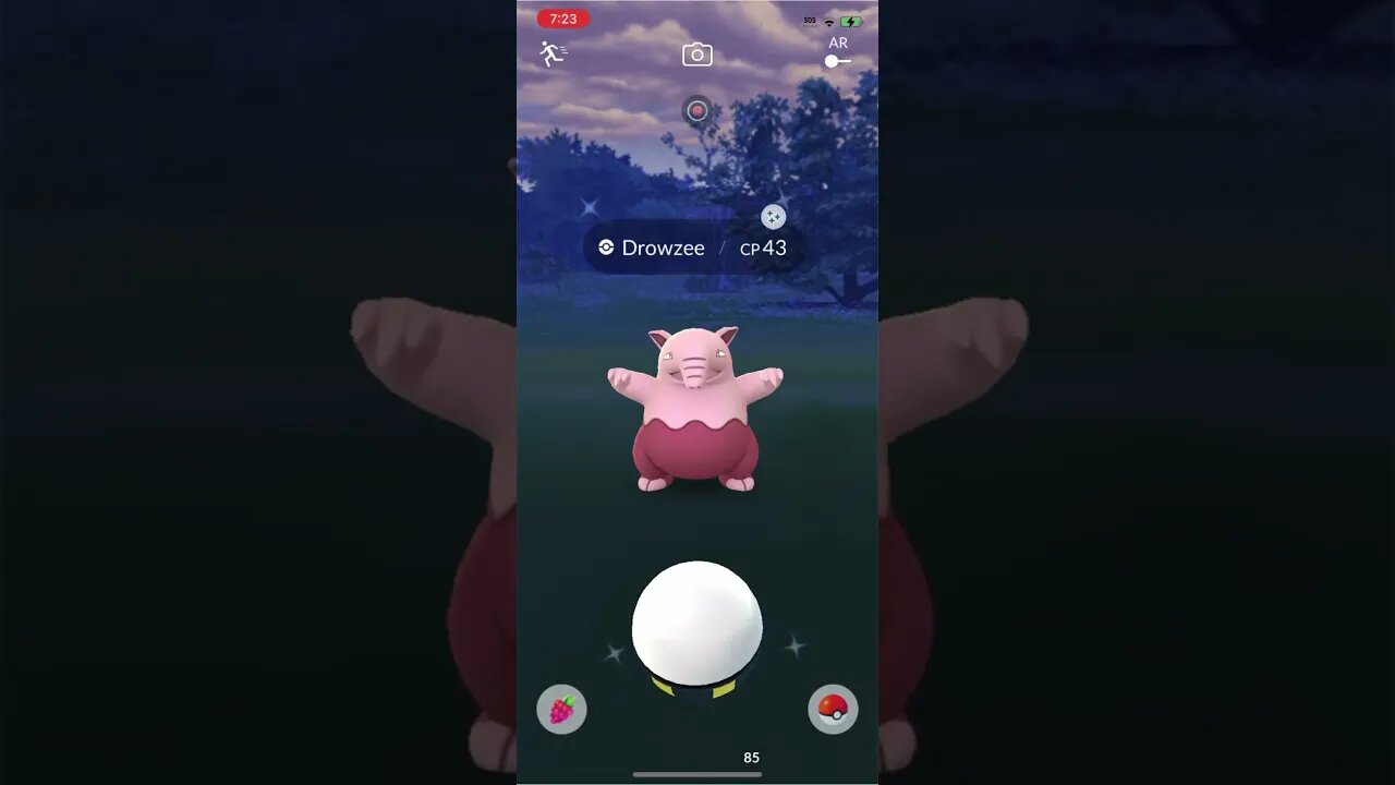 Shiny Compilation