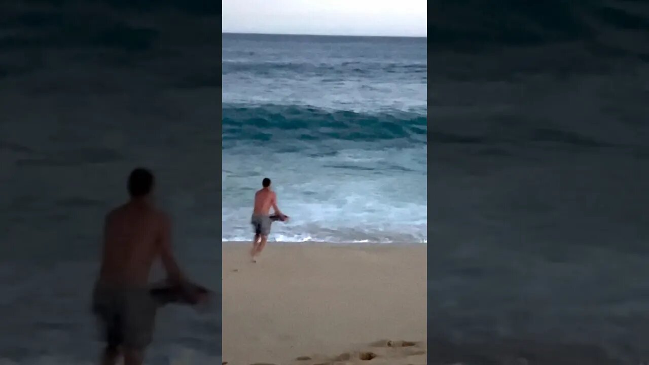 Wave Vs. Skimboarder