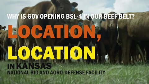 NBAF: Why is gov locating BSL-4 in our Beef Belt?