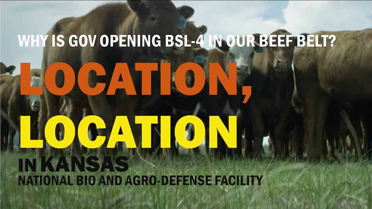 NBAF: Why is gov locating BSL-4 in our Beef Belt?