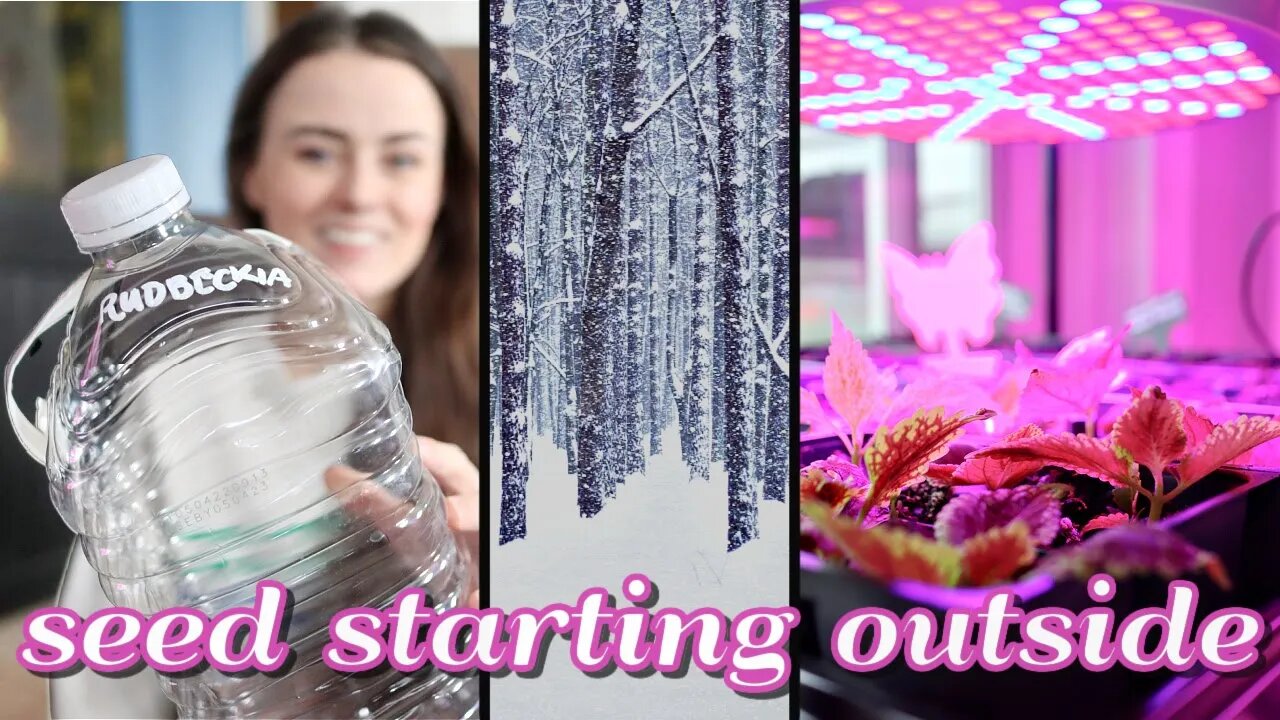 Yes, I Planted Seeds Outside in January | 🌱 Therapeutic Gardening Vlog #2 | Let's Talk IBD