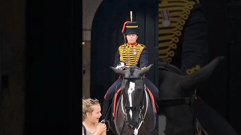 Young girl bitten by the horse #horseguardsparade