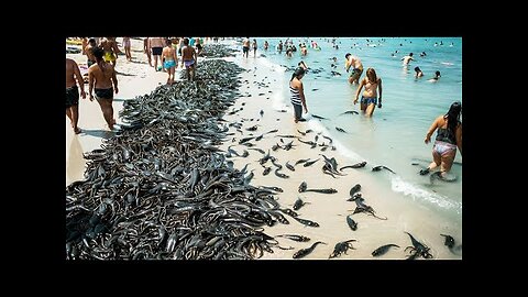 Animal Rights Activists Banned Killing Invasive Animals, a Month Later Everyone Was Shocked