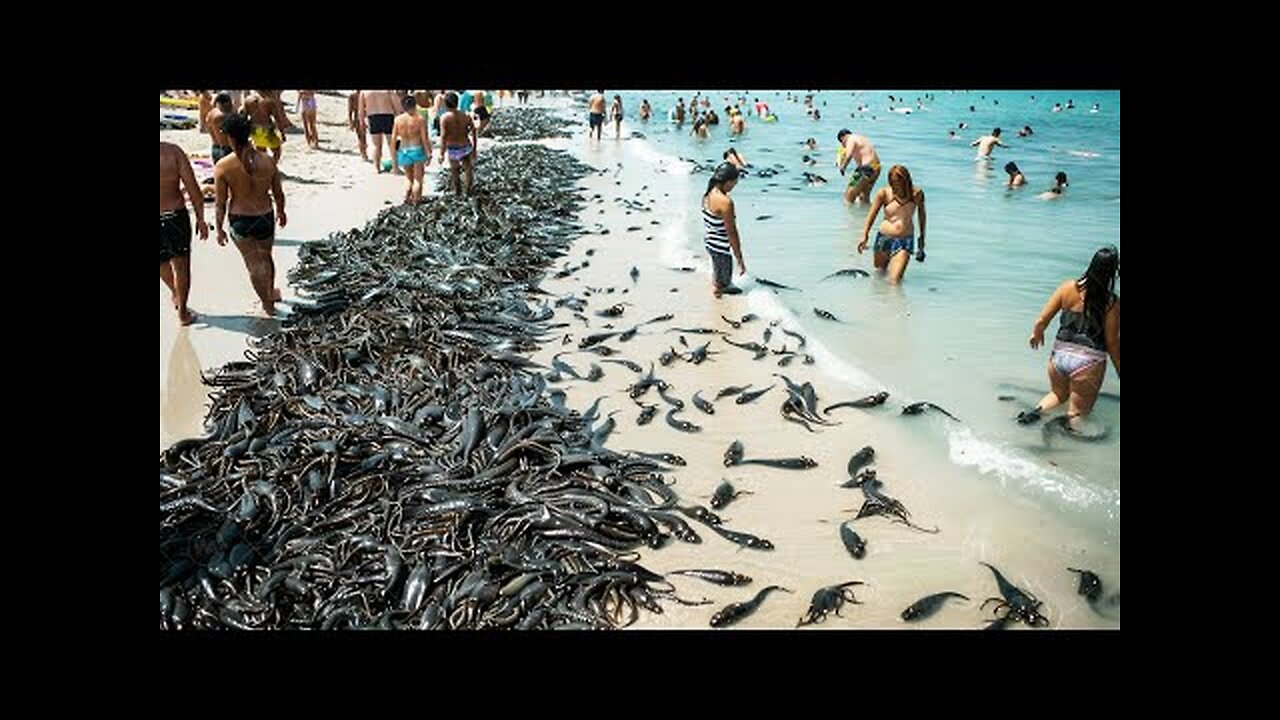 Animal Rights Activists Banned Killing Invasive Animals, a Month Later Everyone Was Shocked