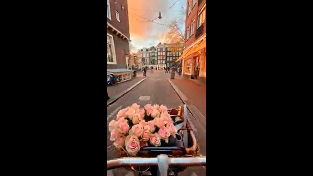 Holand πΈπ