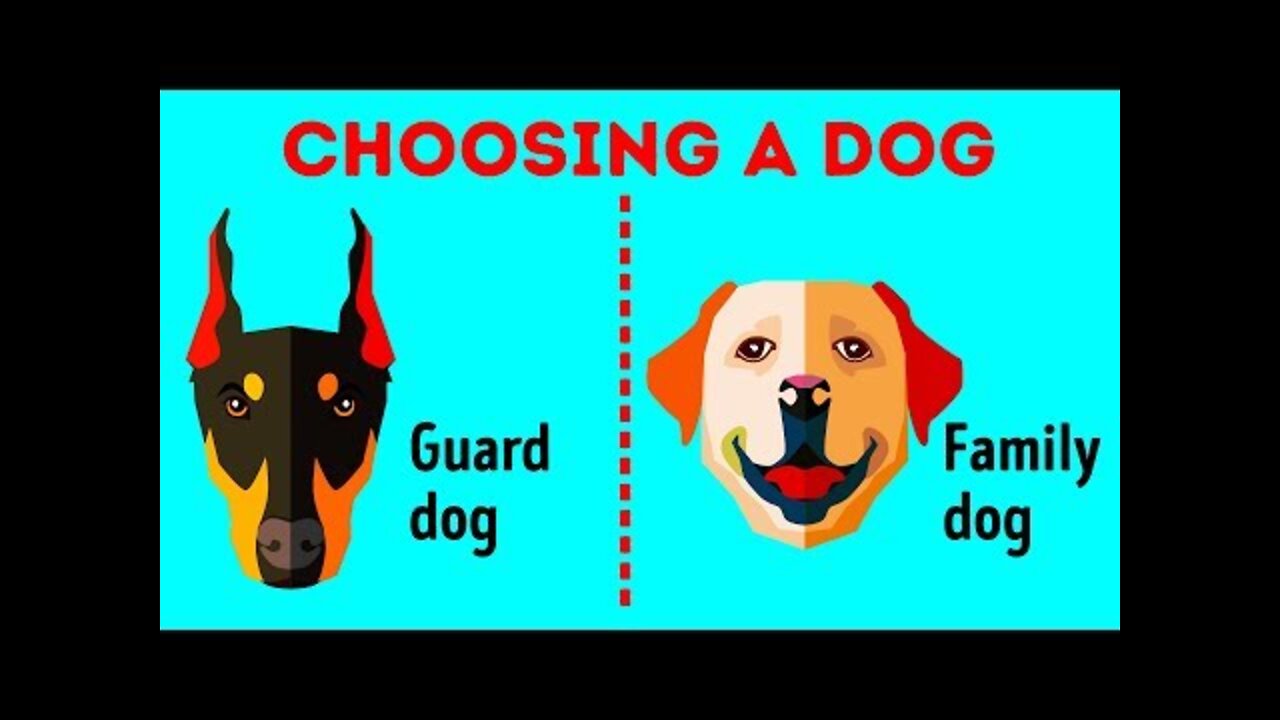 How to Choose the Perfect Dog Breed Just for You