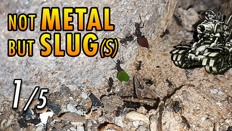 ASMR | Ants night meeting with friendly slimy visitors - 1/5