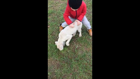 My son and “cotton” , which ı dont know what to say to stop