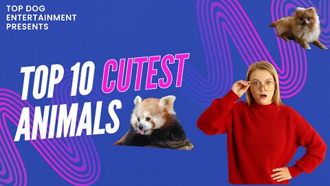 Top 10 Cutest animals - some may surprise you (Full HD)