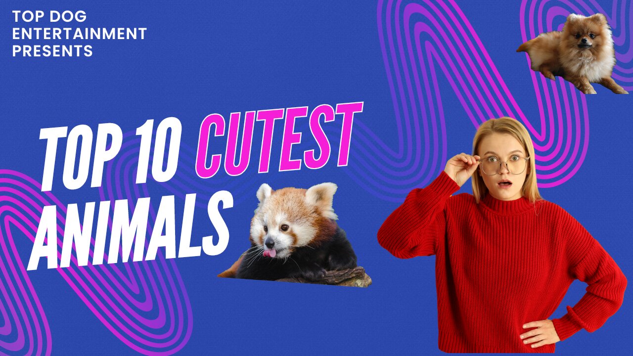 Top 10 Cutest animals - some may surprise you (Full HD)