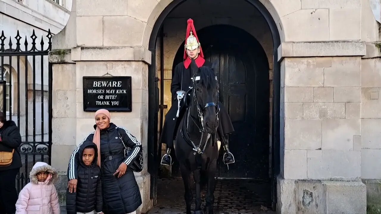 (GET OFF THE REINS) SECOND TOURIST HAS SECOND THOUGHTS 😆 🤣 😂 #thekingsguard