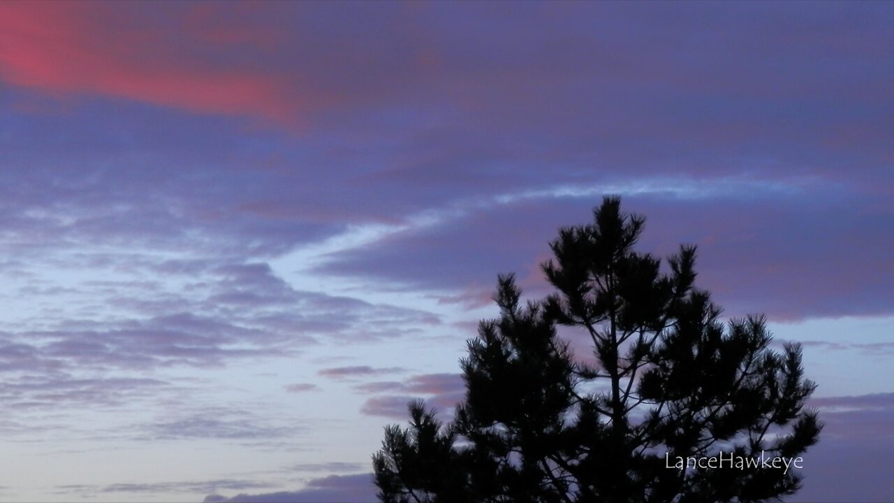 Crazy Cloud Cam | Image Set 067 | Tree Ring