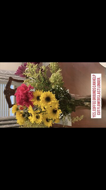 Adding used coffee grounds to cut flowers can help them last longer