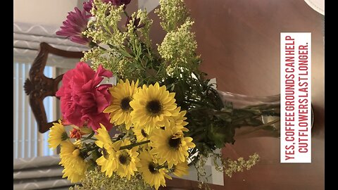 Adding used coffee grounds to cut flowers can help them last longer