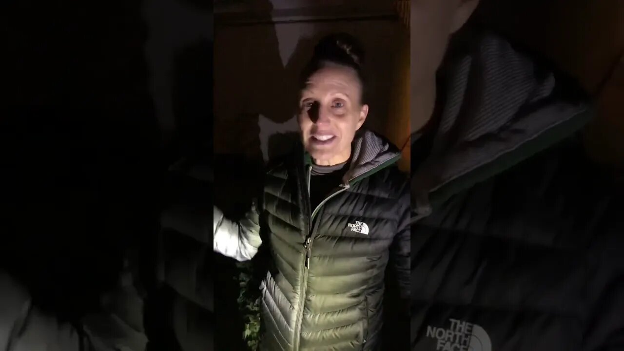 Operation MASSIVE Melon Rescue! 🍉🍉🍉#shorts #viral #trending #garden