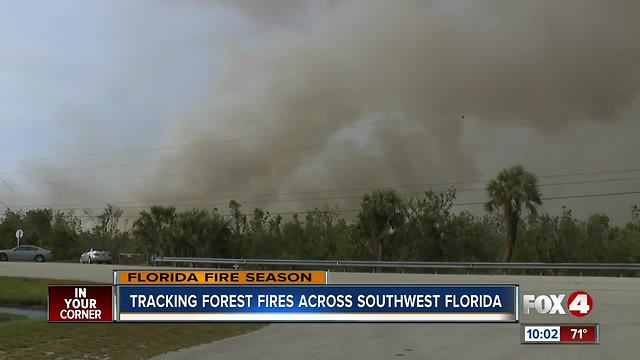 Tracking Forest Fires Across Southwest Florida