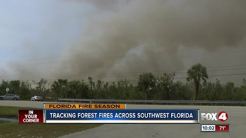 Tracking Forest Fires Across Southwest Florida