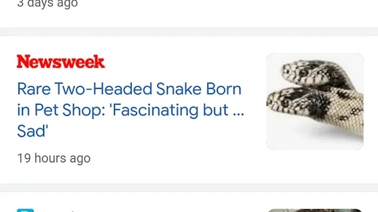 https://www.newsweek.com/rare-two-headed-snake-born-pet-shop-1820811