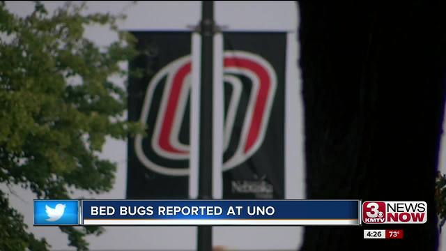 UNO looks into reported bed bugs on campus