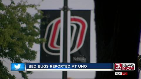 UNO looks into reported bed bugs on campus