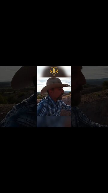 Should Wild Horses be on a Sanctuary? 🐴🏞️