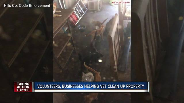 Community helps veteran clean up his home after 63 dead cats were found in his freezer