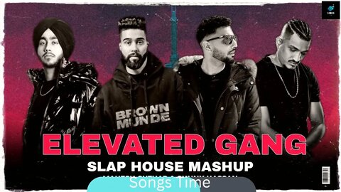ELEVATED GANG MASHUP 2022 | FT. AP DHILLON | SHUBH | DIVINE |