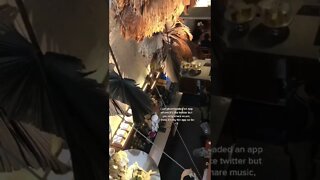 Daily Vlog Tiktok aozora sora