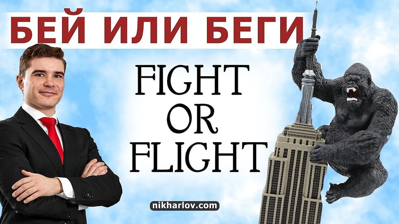 Бей или Беги - Fight or Flight. Что такое состояние побитой реактивной обезьяны в стрессе