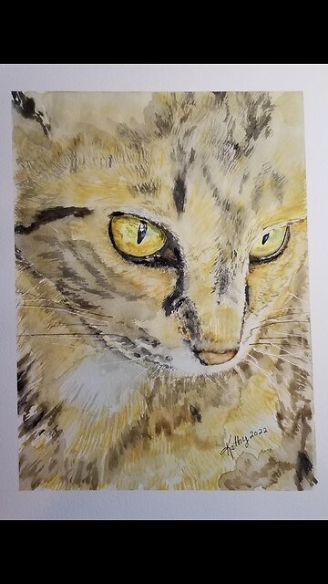 Cat steals pringles!