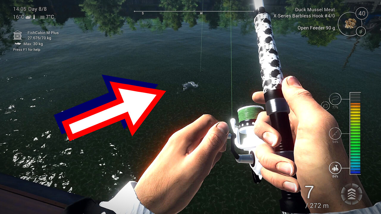 Catching a big fish, Trophy Blue Catfish, Saint - Croix lake, Fishing Planet pc game