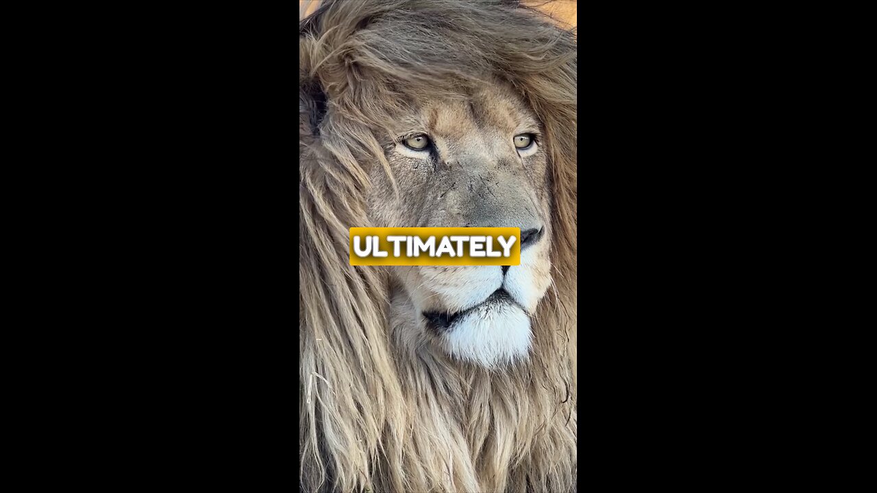 Don't Quit Become the Person You Were Created To Be