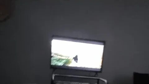 golden eye 👁 enjoy