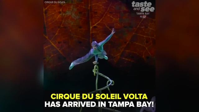 Cirque du Soleil bringing high-energy show to Tampa Bay | Taste and See Tampa Bay