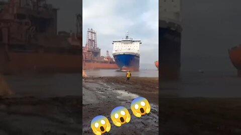 amazing video 😱😱😱😱 #shorts