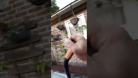 een paar bloembakken naar de achtertuin kruiën....