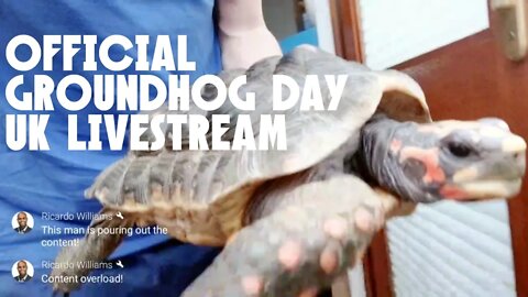 Groundhog Day UK 2022 LIVE!