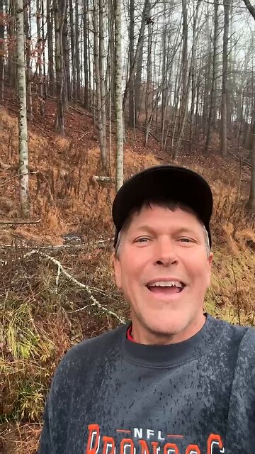 Creating Silvopasture